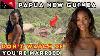 16 Mind Blowing Facts About Papua New Guinea The Most Diverse Country On Earth Documentary