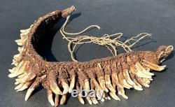 1950s 1960s Old Papua New Guinea Ceremonial Dogs Fang Necklace 62 Canine Teeth