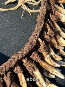 1950s 1960s Old Papua New Guinea Ceremonial Dogs Fang Necklace 62 Canine Teeth