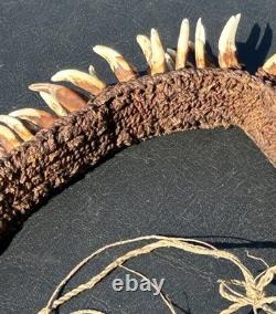 1950s 1960s Old Papua New Guinea Ceremonial Dogs Fang Necklace 62 Canine Teeth