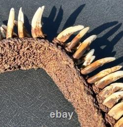 1950s 1960s Old Papua New Guinea Ceremonial Dogs Fang Necklace 62 Canine Teeth