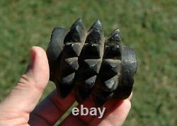 2 Pre Contact Stone Pineapple Clubheads Highlands Papua New Guinea Club Money
