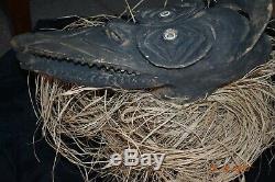 $499 Orig, Papua New Guinea Huge Crocodile Headpiece, Shell Eyes 20 Prov