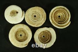 5 Old Toea shell currency from Papua New Guinea Papuan traditional money SET 1