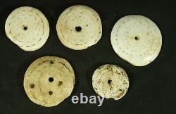 5 Old Toea shell currency from Papua New Guinea Papuan traditional money SET 3