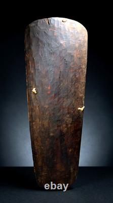 A Mendi Valley Shield Field Collected Prior to 1980