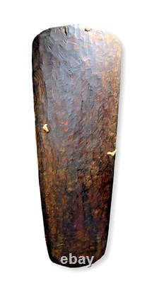 A Mendi Valley Shield Field Collected Prior to 1980