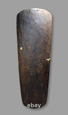 A Mendi Valley Shield Field Collected Prior to 1980