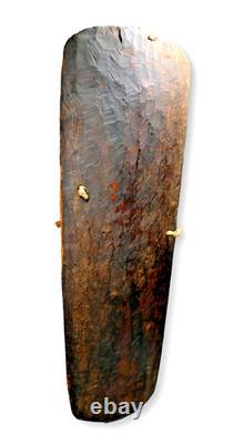 A Mendi Valley Shield Field Collected Prior to 1980