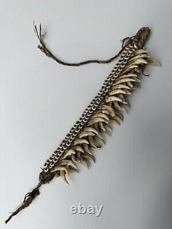 A Superb & Rare Old Papua New Guinea Dog Teeth Arm Band Tribal Art Body Ornament