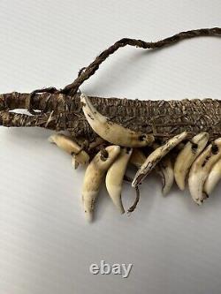 A Superb & Rare Old Papua New Guinea Dog Teeth Arm Band Tribal Art Body Ornament