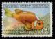 AUS Papua New Guinea QEII SG602, 1989 Fish 20t/17t ERROR OPT on reverse, NHM