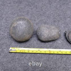 Ammonites From Papua New Guinea 2 Unsplit Nodules & 3 Fossils Ammonite Vintage