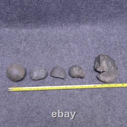 Ammonites From Papua New Guinea 2 Unsplit Nodules & 3 Fossils Ammonite Vintage Ammonites From Papua New Guinea 2 Unsplit Nodules & 3 Fossils Ammonite Vintage