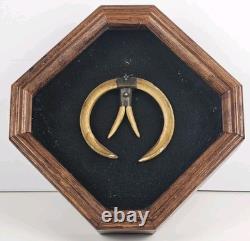 Antique 1800's Papua New Guinea Tribal Boar Tusk Head Hunter Necklace Shadow Box