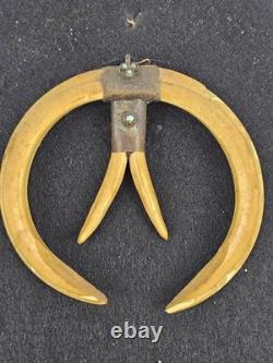 Antique 1800's Papua New Guinea Tribal Boar Tusk Head Hunter Necklace Shadow Box
