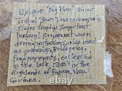 Antique 1800's Papua New Guinea Tribal Boar Tusk Head Hunter Necklace Shadow Box