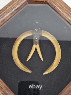 Antique 1800's Papua New Guinea Tribal Boar Tusk Head Hunter Necklace Shadow Box