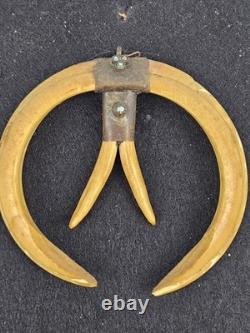 Antique 1800's Papua New Guinea Tribal Boar Tusk Head Hunter Necklace Shadow Box