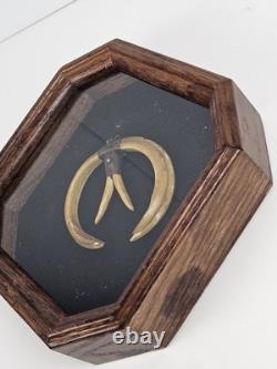 Antique 1800's Papua New Guinea Tribal Boar Tusk Head Hunter Necklace Shadow Box