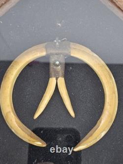 Antique 1800's Papua New Guinea Tribal Boar Tusk Head Hunter Necklace Shadow Box