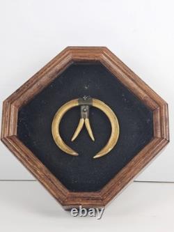 Antique 1800's Papua New Guinea Tribal Boar Tusk Head Hunter Necklace Shadow Box