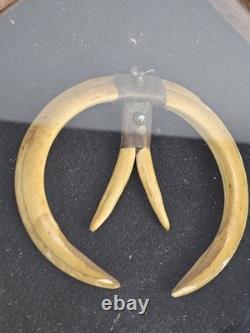 Antique 1800's Papua New Guinea Tribal Boar Tusk Head Hunter Necklace Shadow Box