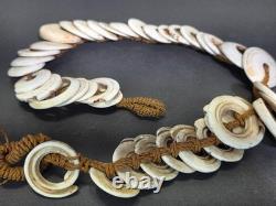 Antique 1880s-1920s Papua New Guinea Shell Currency Necklace Lot Kula Conus Naga
