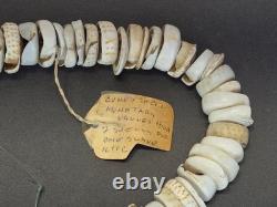 Antique 1880s-1920s Papua New Guinea Shell Currency Necklace Lot Kula Conus Naga