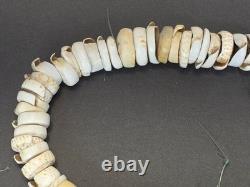 Antique 1880s-1920s Papua New Guinea Shell Currency Necklace Lot Kula Conus Naga