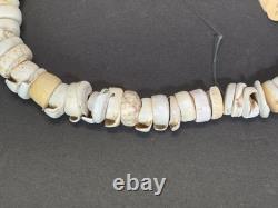 Antique 1880s-1920s Papua New Guinea Shell Currency Necklace Lot Kula Conus Naga