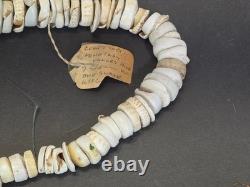 Antique 1880s-1920s Papua New Guinea Shell Currency Necklace Lot Kula Conus Naga