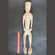 Antique 1900s Asmat Primitive Male Fertility Carved Figure Papua New Guinea 71cm