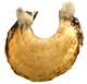 Antique Kina Shell Pectoral Necklace Papua New Guinea