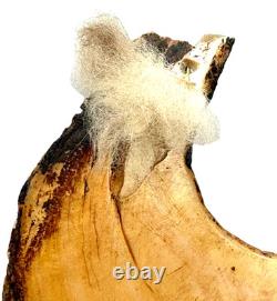 Antique Kina Shell Pectoral Necklace Papua New Guinea