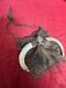 Antique Oceanic Papua New Guinea wild Boar Tusks Woven Medicine Bag