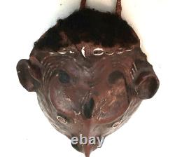 Antique Original Turtle Mask From Papua New Guinea Not A Tourist Souvinir