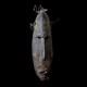 Antique Papua New Guinea Sepik River Murik Costal Ocean&iacute;c Tribal Mask