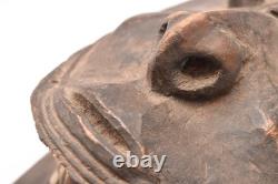 Antique Papua New Guinea Sepik River Wooden Mask Cowrie Shells 17.5 Long