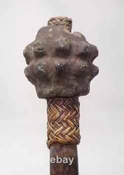 Antique Papua/new Guinea Stone Pineapple Head War Club Kukukuku 31 Long
