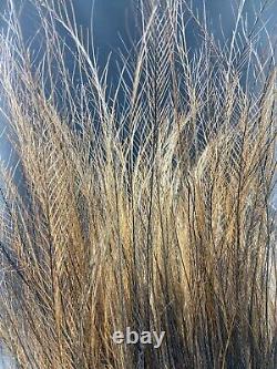 Asmat Sepik Cassowary Feather Headdress Papua New Guinea