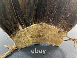 Asmat Sepik Cassowary Feather Headdress Papua New Guinea