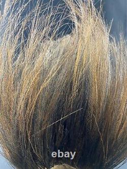 Asmat Sepik Cassowary Feather Headdress Papua New Guinea