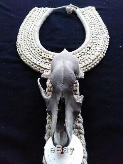 Asmat Tribal Shell Skull Necklace Papua New Guinea Art Hand Made