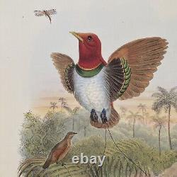 BIRDS New Guinea Vol 1 of Paradise JOHN GOULD Hill House Facsimile no 605 1988