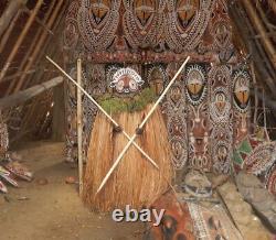 Baba tagwa mask, Abelam, Maprik, Heaume, oceanic art, Tribal, Papua New Guinea
