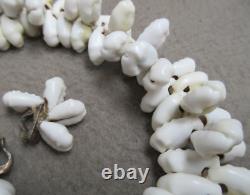 Beautiful 1940-50s Papua-New-Guinea Cowrie Seashell Necklace & Earrings