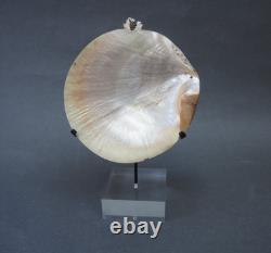 Beautiful Old Mounted Oceanic New Britain Papua New Guinea Arawe Currency Shell
