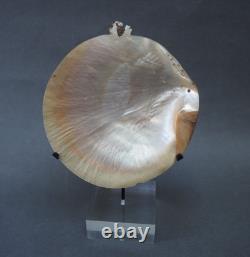 Beautiful Old Mounted Oceanic New Britain Papua New Guinea Arawe Currency Shell