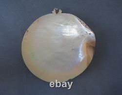 Beautiful Old Mounted Oceanic New Britain Papua New Guinea Arawe Currency Shell